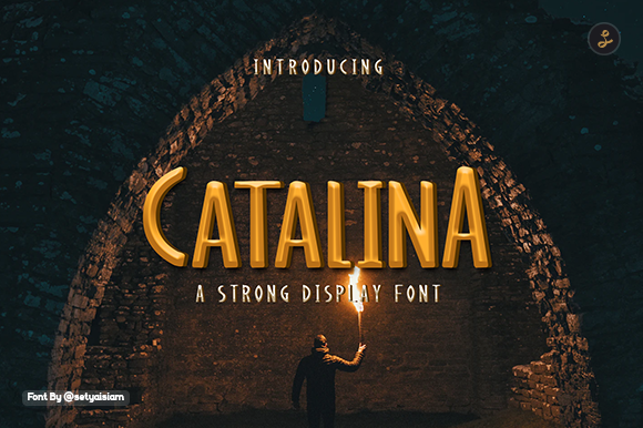 Enhance Your Brand with Catalina: A Versatile Display Font