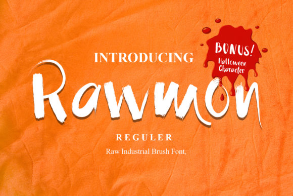 Rawmon: A Unique Display Font for Creative Web Design